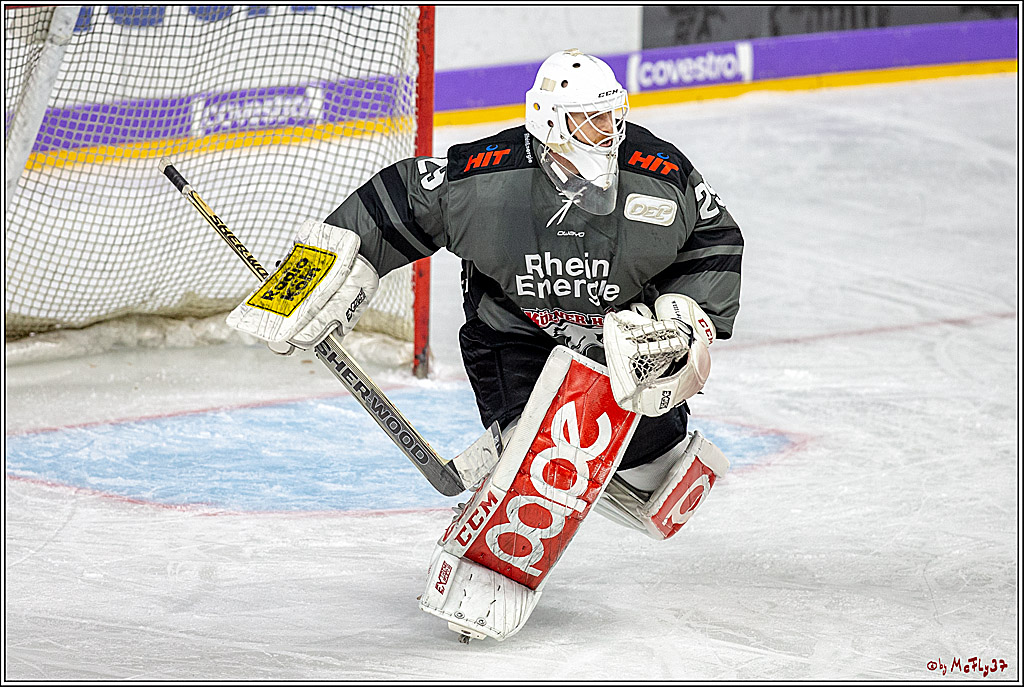 DEL; Koelner Haie - Straubing Tigers, 02.12.2018
